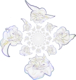 haapakanni.com | flower art